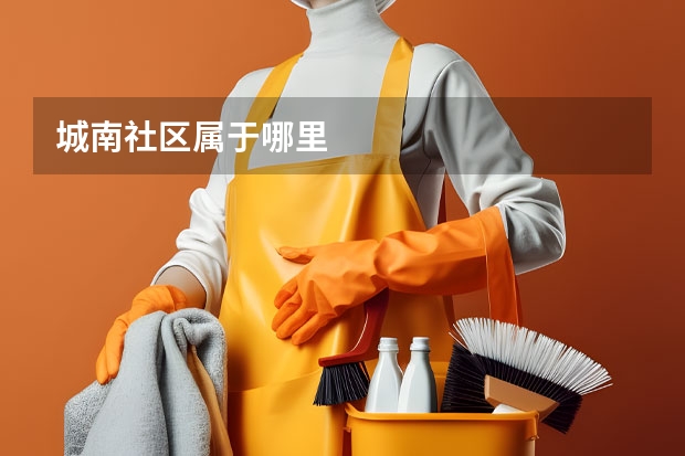 城南社区属于哪里