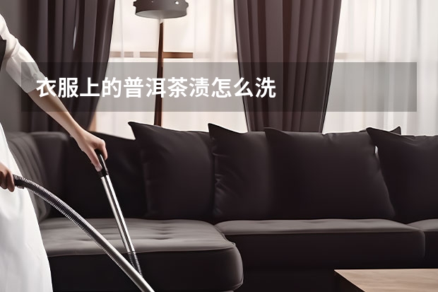 衣服上的普洱茶渍怎么洗