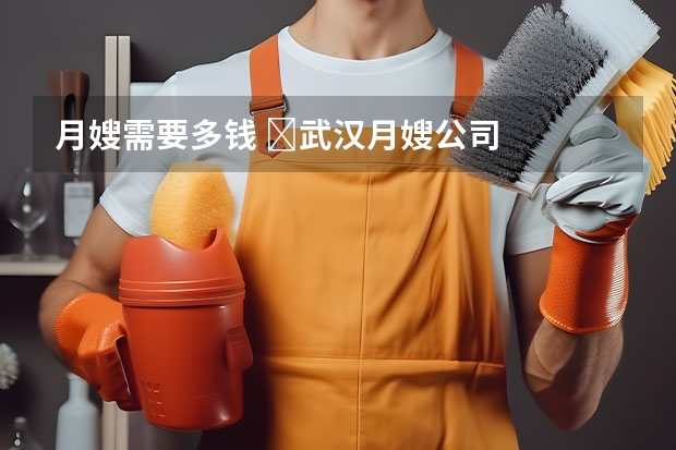 月嫂需要多钱 ​武汉月嫂公司