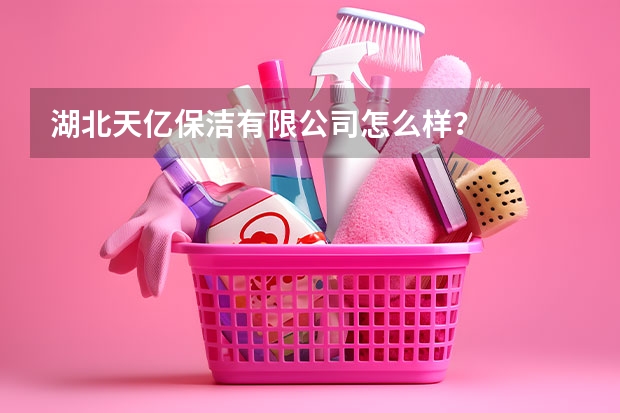 湖北天亿保洁有限公司怎么样？