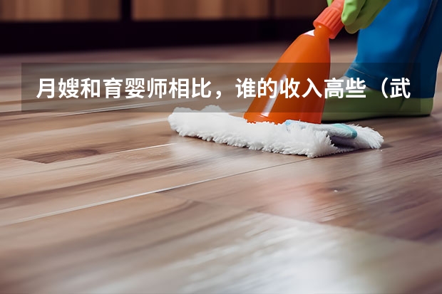 月嫂和育婴师相比，谁的收入高些（武汉专业月嫂公司）