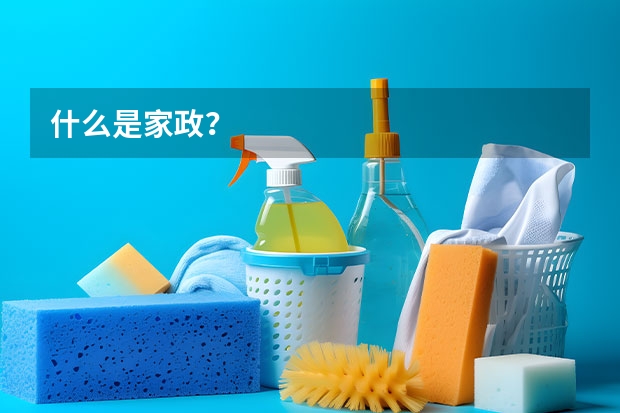 什么是家政？