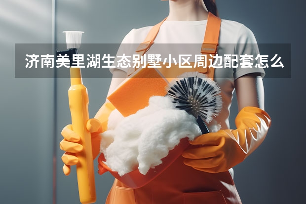 济南美里湖生态别墅小区周边配套怎么样？