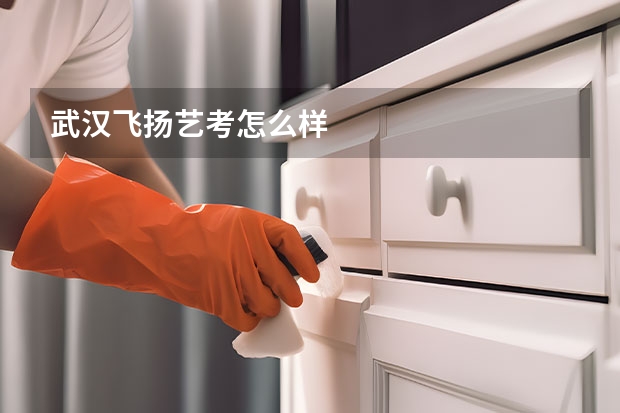 武汉飞扬艺考怎么样