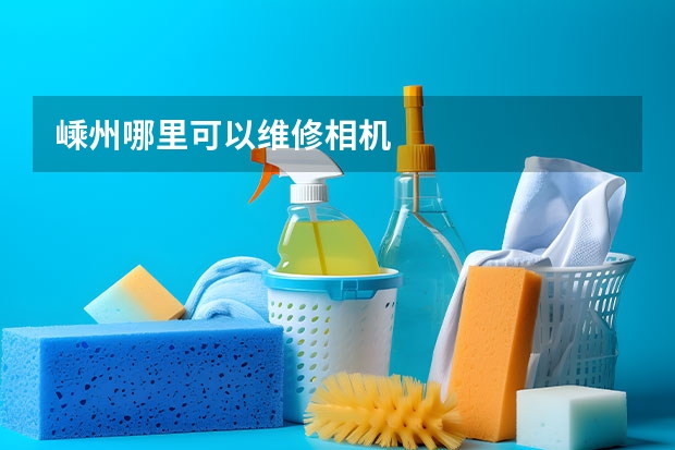 嵊州哪里可以维修相机