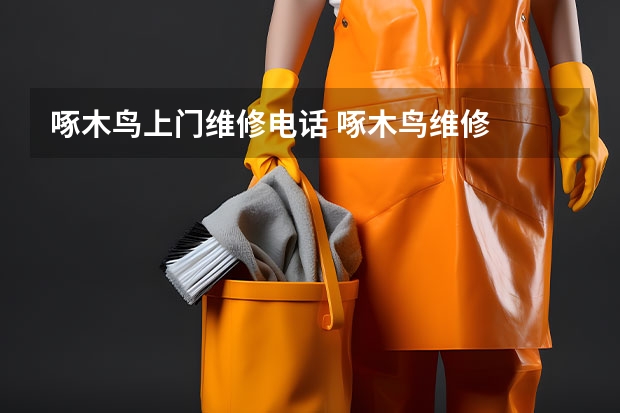 啄木鸟上门维修电话 啄木鸟维修