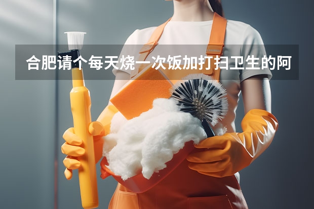合肥请个每天烧一次饭加打扫卫生的阿姨大概多少钱啊
