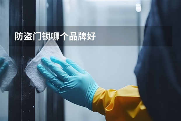 防盗门锁哪个品牌好