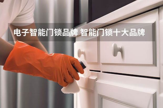 电子智能门锁品牌 智能门锁十大品牌