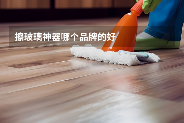 擦玻璃神器哪个品牌的好