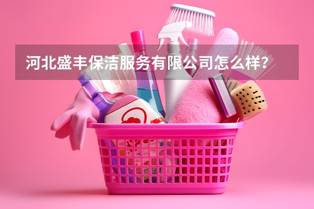 河北盛丰保洁服务有限公司怎么样？