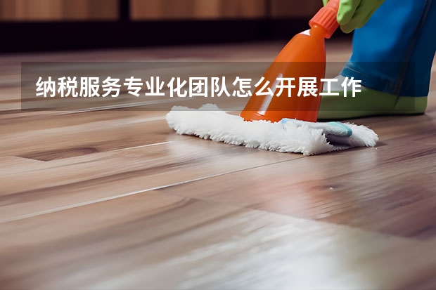 纳税服务专业化团队怎么开展工作