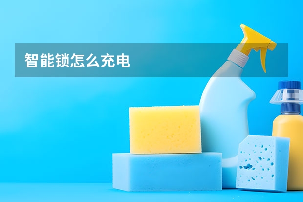 智能锁怎么充电