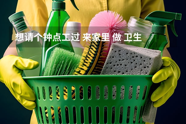 想请个钟点工过 来家里 做 卫生 ，傻 大 姐 家政的钟点工怎么样？