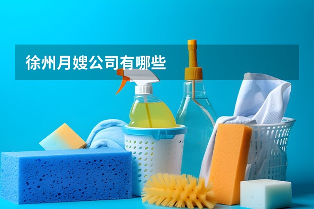 徐州月嫂公司有哪些