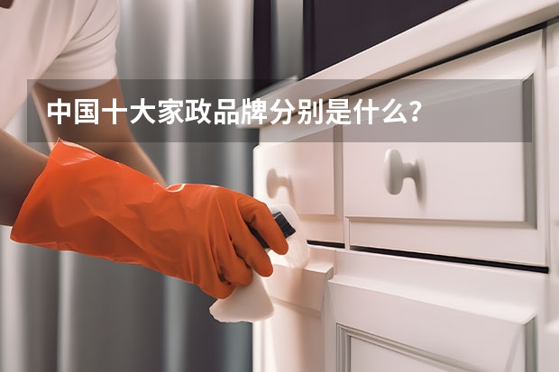 中国十大家政品牌分别是什么？
