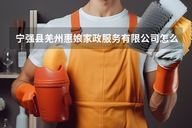 宁强县羌州惠娘家政服务有限公司怎么样？