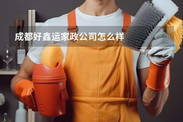 成都好鑫运家政公司怎么样