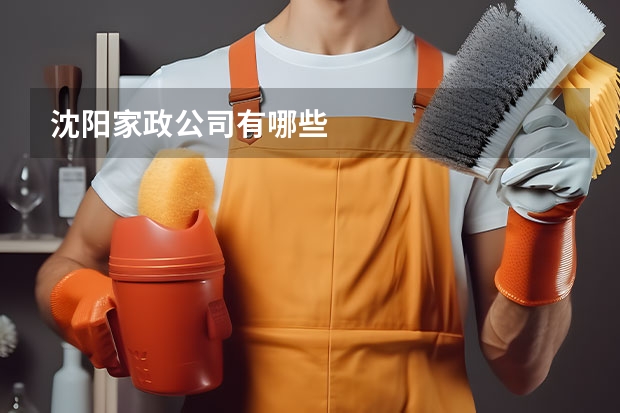 沈阳家政公司有哪些