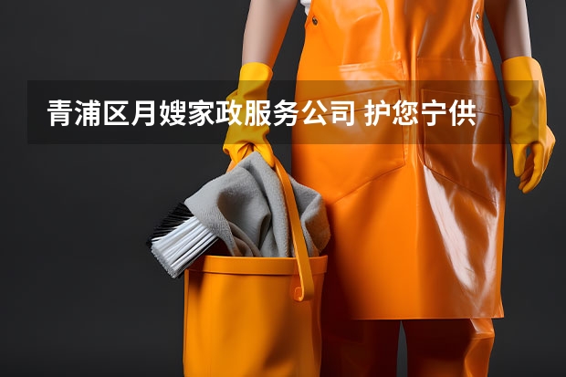 青浦区月嫂家政服务公司 护您宁供 温馨家政月嫂