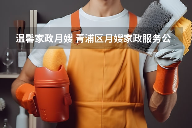 温馨家政月嫂 青浦区月嫂家政服务公司 护您宁供