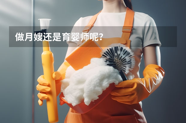 做月嫂还是育婴师呢？
