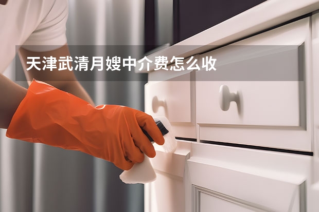 天津武清月嫂中介费怎么收