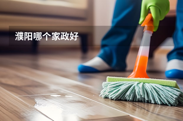濮阳哪个家政好