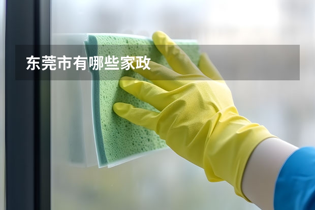 东莞市有哪些家政