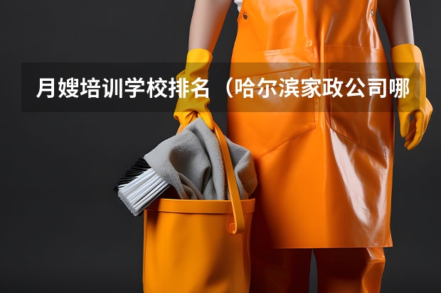 月嫂培训学校排名（哈尔滨家政公司哪家最好）